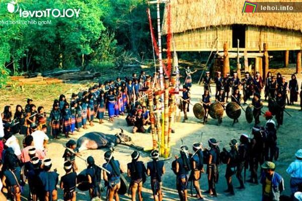 Độc đáo lễ hội đam trâu hoa Làng Ông Tía