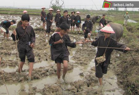Những mục đồng vui đùa trên các cánh đồng trên đường đi rước Thần Nông