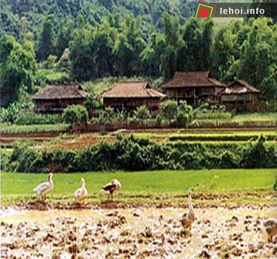 Một bản của người Mường