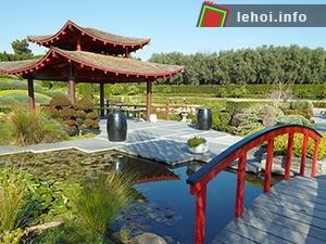 Lễ hội hoa Xuân ở Australia - Đậm chất Á Đông ảnh 1