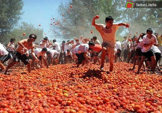 Những quả cà chua trở thành vũ khí trong trận chiến của 7000 người tham gia