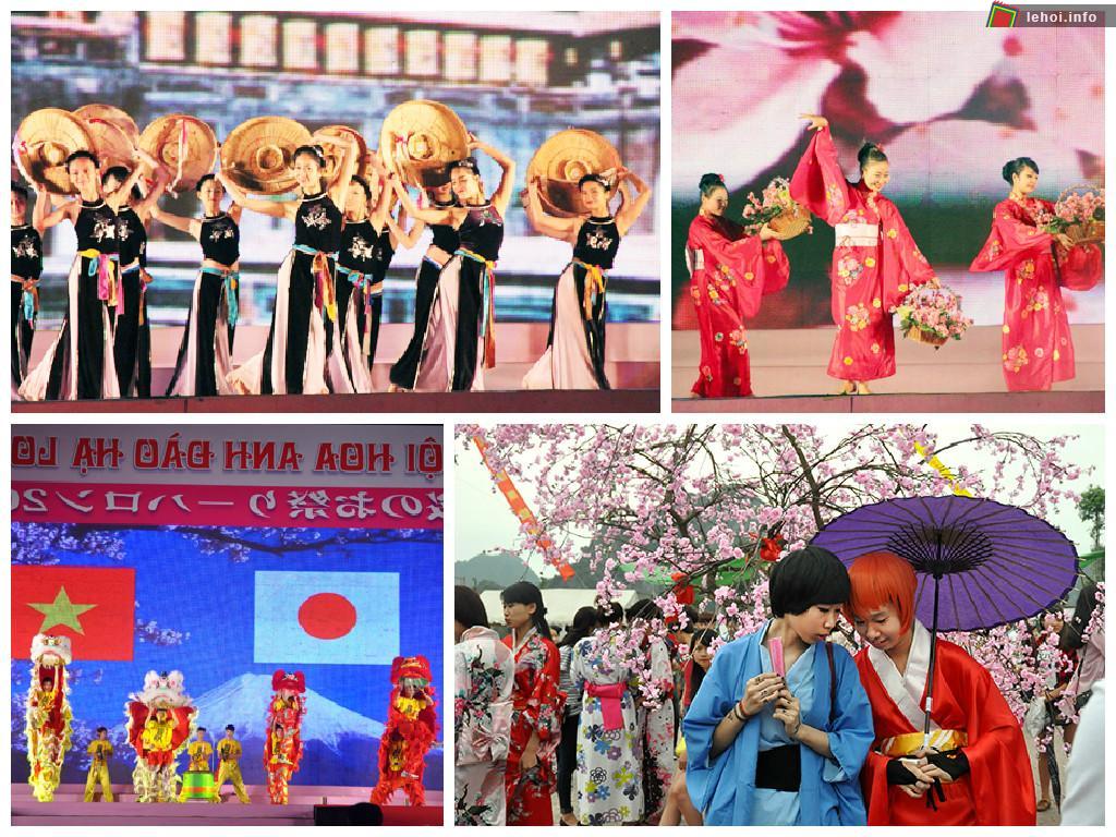Lễ hội hoa anh đào Hạ Long 2015