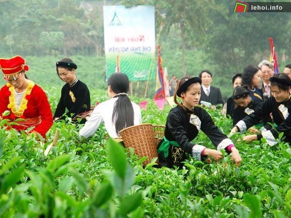Các Trà Nương ở Võ Nhai