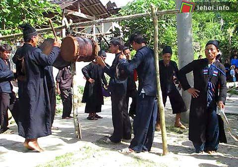 Hội khu cù tê
