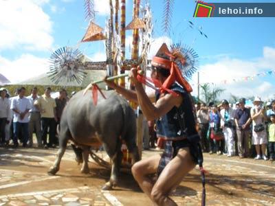 Cột trâu vào cây nêu