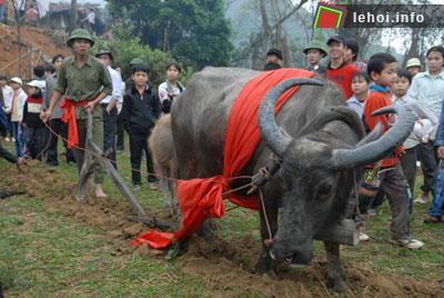 Lễ hội Lồng Tồng hay còn gọi là lễ hội xuống đồng