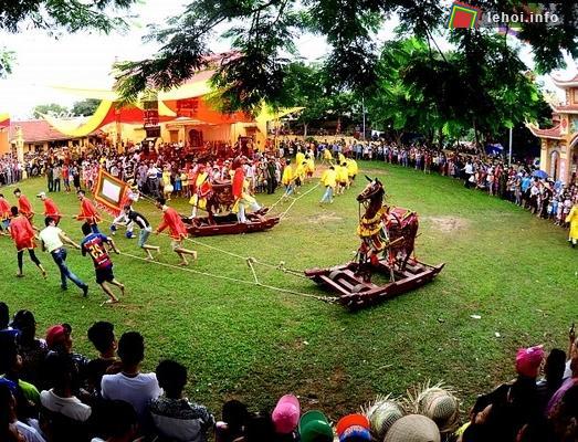Các đội đang kéo ngựa chạy vòng quanh để chấm điểm