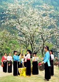Đặc sắc lễ hội Hoa ban