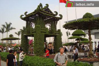 Đặc sắc lễ hội truyền thống hoa - cây cảnh Vị Khê