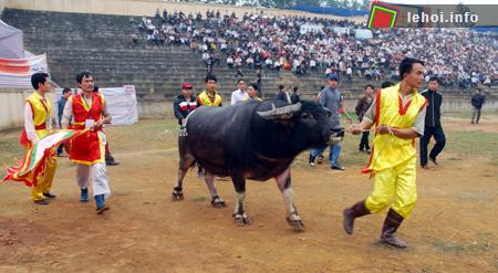Trên đường vào xới chọi