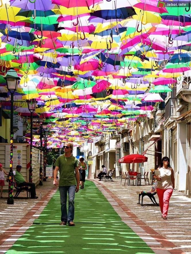 Khách nhàn du ở Agueda mùa lễ hội tháng 7