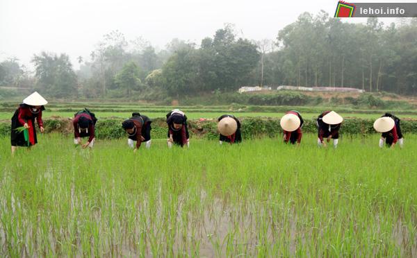 Thực hiện nghi thức xuống đồng trong Lễ hội Lồng tồng
