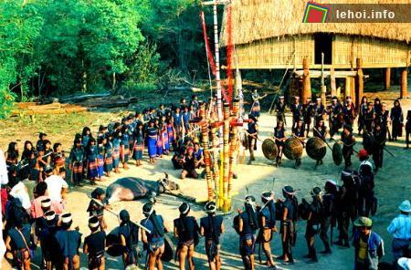 Lễ đâm trâu của người Kơho tại Đồng Nai ảnh 2