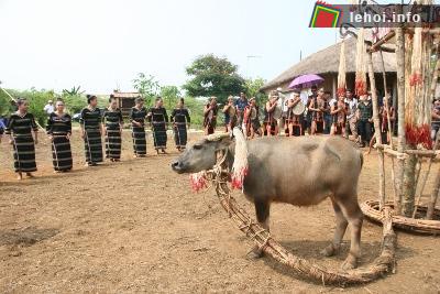 Lễ mừng nhà Rông mới của người Giẻ Triêng đã hội tụ đủ các loại hình văn hóa đặc trưng của đồng bào như múa, đánh cồng chiêng…