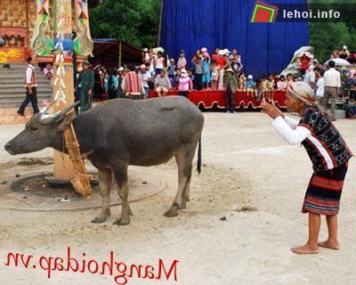 Một nghi thức trong lễ hội