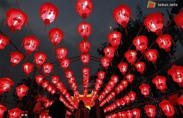 Nguồn gốc của lễ hội là những hoạt động của những người nông dân nhằm ăn mừng mùa xuân cũng như mùa vụ mới sau dịp tết Âm lịch.&nbsp;
