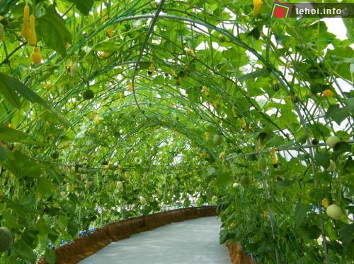 12 lễ hội hấp dẫn nhất xứ Hàn ảnh 3