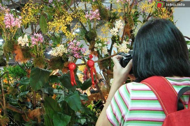 Lễ hội hoa lan trên thế giới ảnh 4