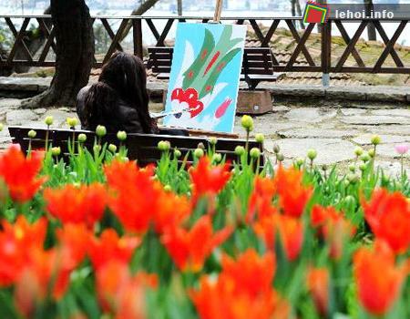 Hình ảnh hoa tulip xuất hiện rất nhiều trong dân ca, thi ca và mỹ thuật của đất nước này. Phổ biến nhất và dễ nhận thấy nhất đó là các họa tiết được thêu trên thảm hay các lối kiến trúc mang hình dáng của nụ hoa tulip. Trong ảnh là một họa sĩ đang lưu lại những hình ảnh về loài hoa tulip &nbsp;theo cảm nhận của riêng bản thân mình.&nbsp;&nbsp;