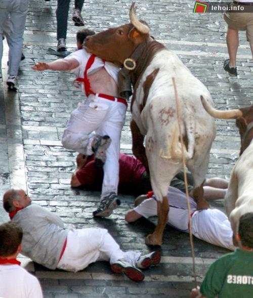 Lễ hội “bò rượt” San Fermin tại Tây Ban Nha ảnh 4