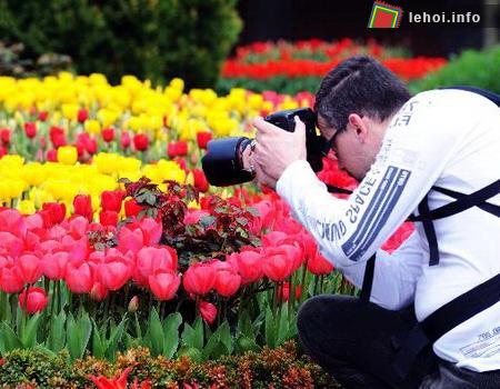 Người đàn ông này đã chọn cách lưu giữ lại những khoảnh khắc tuyệt đẹp của loài hoa này bằng sự hỗ trợ của những chiếc máy ảnh rất chuyên nghiệp.&nbsp;