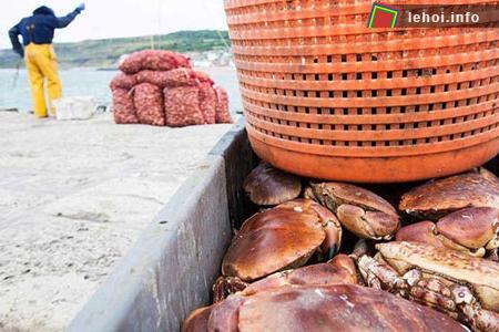 Nhộn nhịp những lễ hội mùa hè bên bờ biển nước Anh ảnh 7
