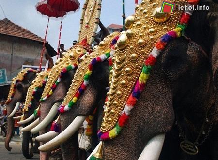 10 lễ hội lạ lùng tháng 5 ảnh 8