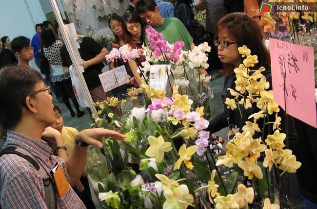 Lễ hội hoa lan trên thế giới ảnh 7
