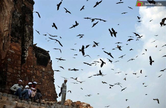 Những người Hồi giáo ở Ấn Độ đang ngồi nghỉ bên tượng đài Firoz Shah Kotla Masjid sau khi đã làm lễ cầu nguyện.