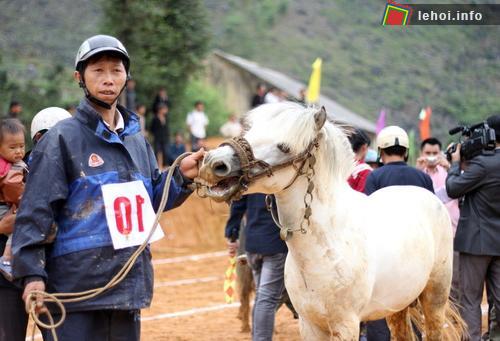 Chuẩn bị bước vào cuộc đua