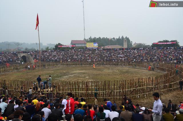 Sân vận động dành để chọi trâu