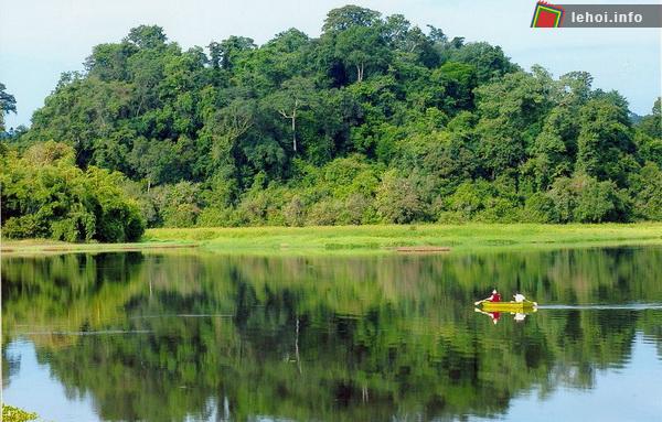 Đây là sự kiện mang tính quốc gia nhằm giới thiệu, quảng bá tài nguyên rừng của Việt Nam, trong đó có Đồng Nai.