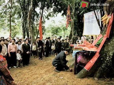 Thầy mo làm cúng rừng