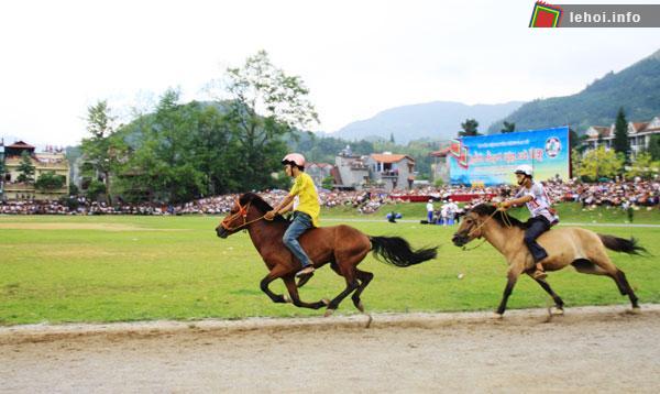 Nguồn: baolaocai