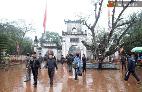 Quang cảnh n