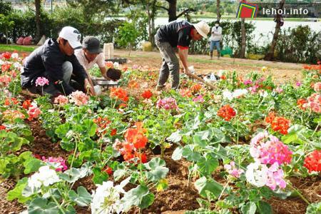Không gian hoa đẹp trong Đồi Cù đang được gấp rút hoàn thiện