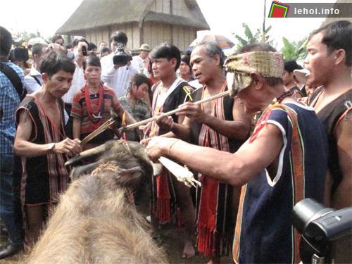 Người cao tuổi trong dân tộc người Brâu chuẩn bị cho lễ đâm trâu