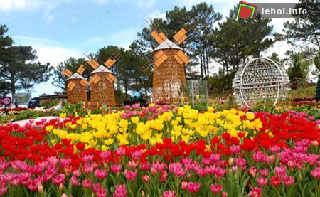Không gian hoa trong Festival hoa Đà Lạt lần IV