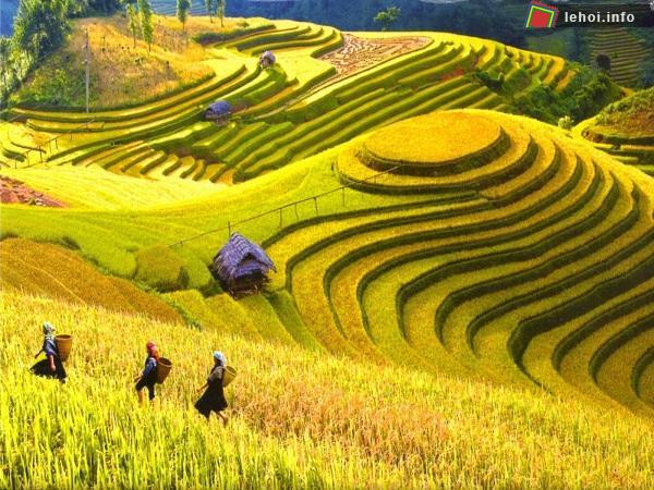 Cảnh đẹp ruộng bậc thang ở Mù Cang Chải