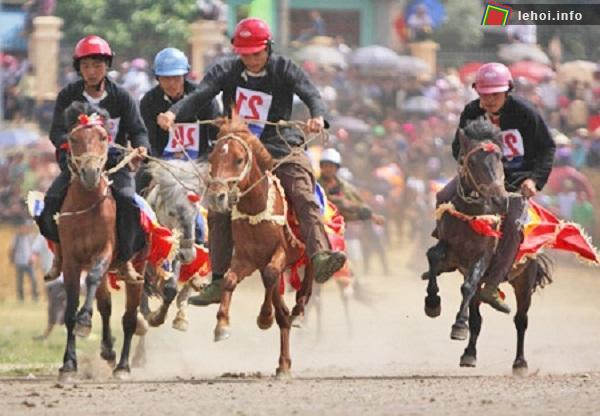Giải đua ngựa truyền thống Bắc Hà