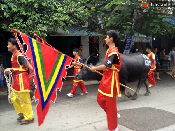 Lễ hội chọi trâu Đồ Sơn hứa hẹn sẽ để lại ấn tượng sâu sắc trong lòng người dân và du khách