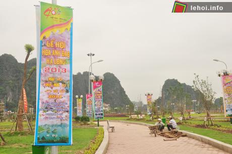 Các cây anh đào đã được trồng tại khuôn viên