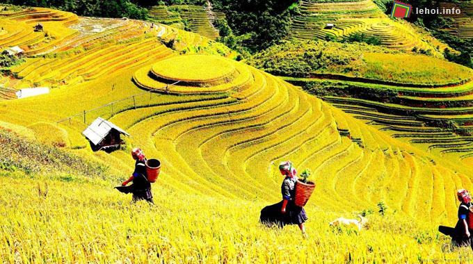 Lễ hội ruộng bậc thang Mù Cang Chải