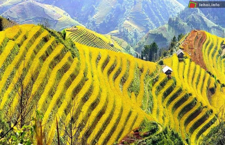 Những thửa ruộng bậc thang hùng vĩ