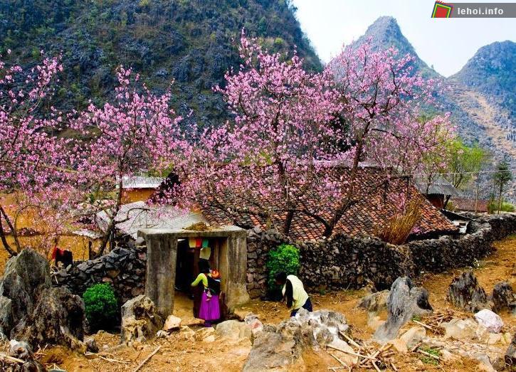 Xuân về trên mọi nẻo đường Việt Bắc