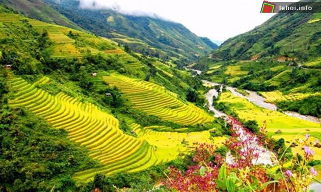 Ruộng bậc thang ở miền núi Việt Bắc