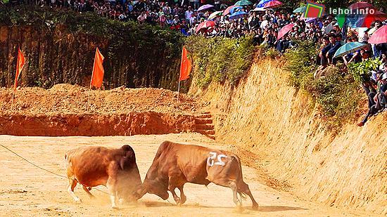 Cặp đấu bất phân thắng bại