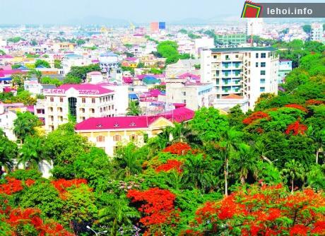 Hoa phượng nở đỏ rực trong khuôn viên trường học, công sở