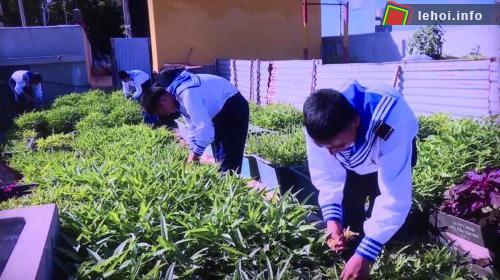 “Ngày Trường Sa” sẽ là hoạt động để người dân đất liền bày tỏ tình cảm với những người con của tổ quốc đang làm nhiệm vụ, sinh sống ở nơi đầu sóng ngọn gió.