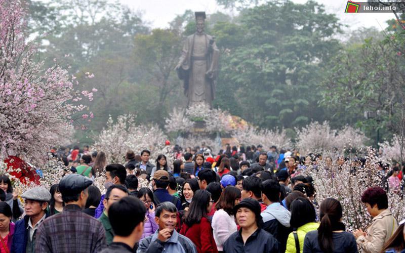 Du khách nước ngoài thích thú với lễ hội hoa anh đào ở Hà Nội